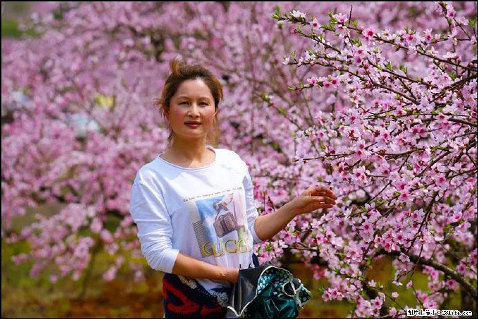 【春天，广西桂林灌阳县向您发出邀请！】官庄村有个醉美的桃花园 - 游山玩水 - 乐山生活社区 - 乐山28生活网 ls.28life.net