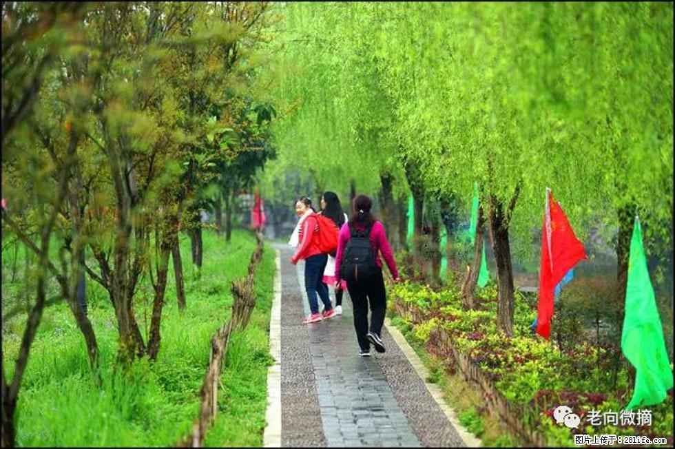 【春天，广西桂林灌阳县向您发出邀请！】江口老街又逢春 - 游山玩水 - 乐山生活社区 - 乐山28生活网 ls.28life.net