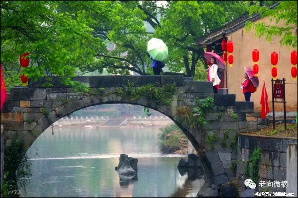 【春天，广西桂林灌阳县向您发出邀请！】江口老街又逢春 - 游山玩水 - 乐山生活社区 - 乐山28生活网 ls.28life.net