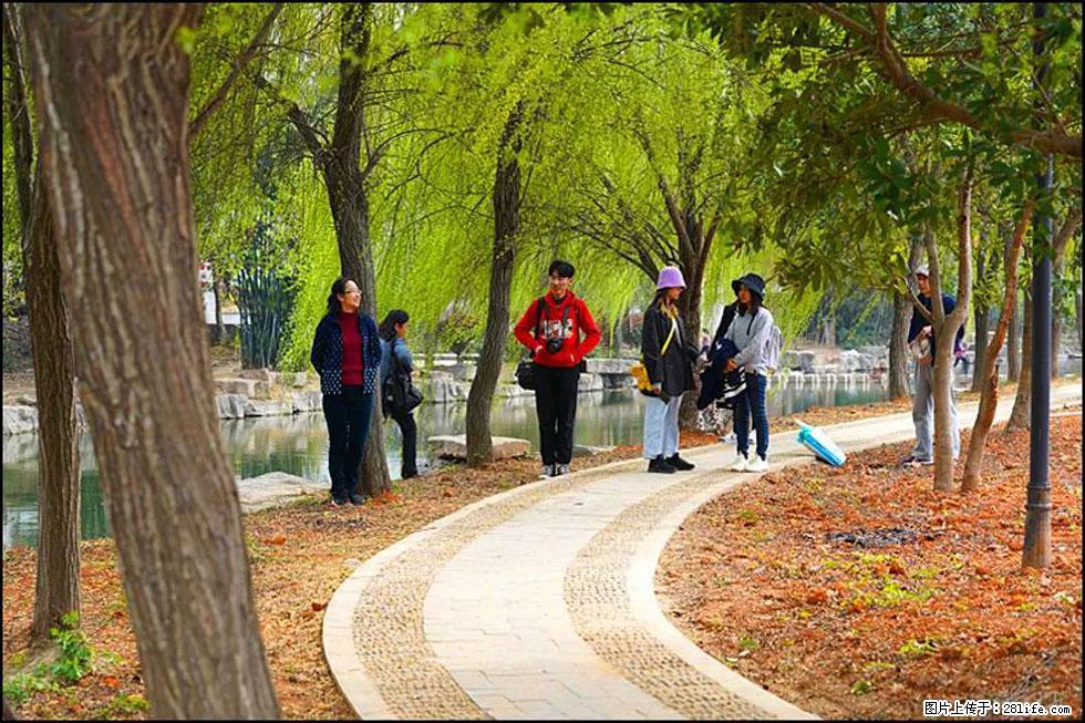 【春天，广西桂林灌阳县向您发出邀请！】江口老街又逢春 - 游山玩水 - 乐山生活社区 - 乐山28生活网 ls.28life.net
