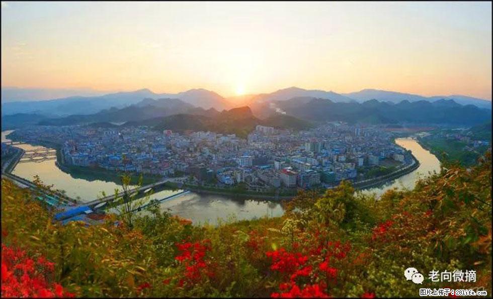 【春天，广西桂林灌阳县向您发出邀请！】登麒麟山，相约映山红 - 游山玩水 - 乐山生活社区 - 乐山28生活网 ls.28life.net