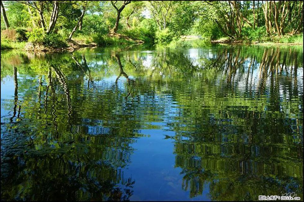 【春天，广西桂林灌阳县向您发出邀请！】熊家寨湿地公园 - 游山玩水 - 乐山生活社区 - 乐山28生活网 ls.28life.net