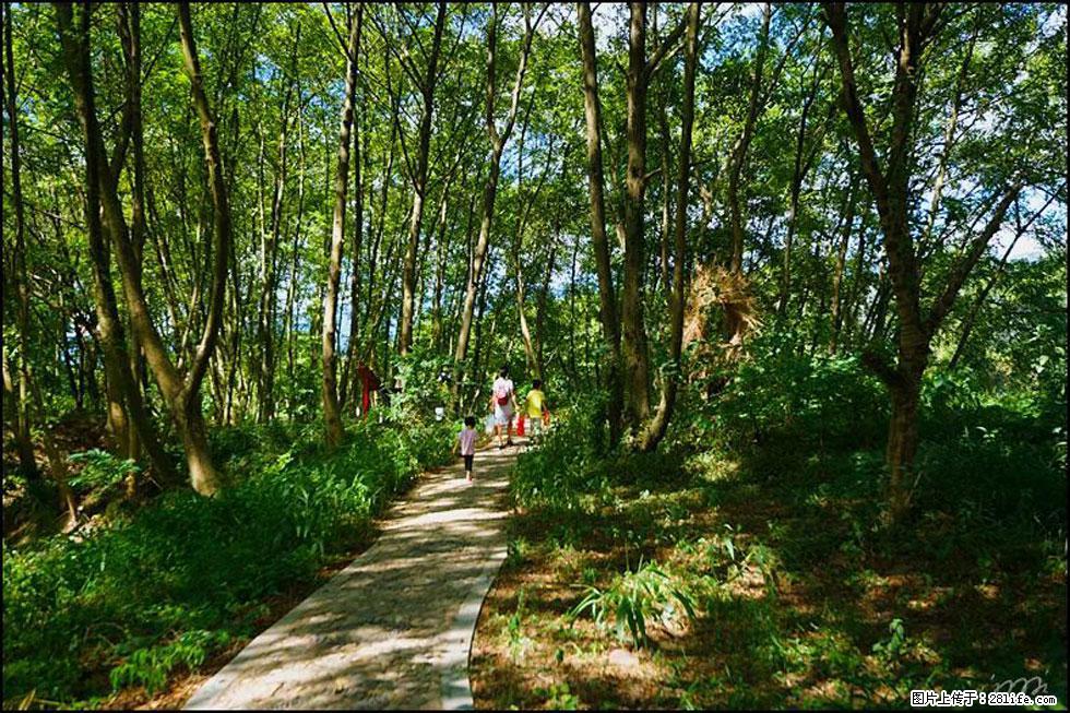 【春天，广西桂林灌阳县向您发出邀请！】熊家寨湿地公园 - 游山玩水 - 乐山生活社区 - 乐山28生活网 ls.28life.net