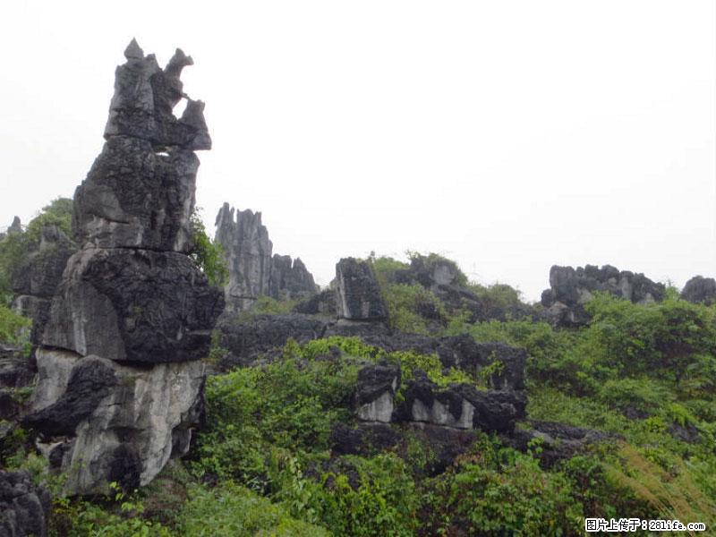 桂林旅游名城景点：灌阳文市石林 - 游山玩水 - 乐山生活社区 - 乐山28生活网 ls.28life.net