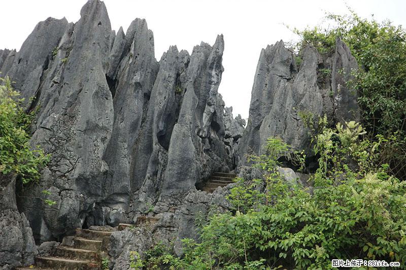桂林旅游名城景点：灌阳文市石林 - 游山玩水 - 乐山生活社区 - 乐山28生活网 ls.28life.net