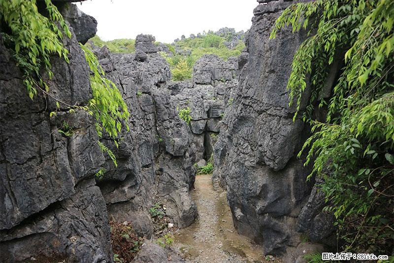 桂林旅游名城景点：灌阳文市石林 - 游山玩水 - 乐山生活社区 - 乐山28生活网 ls.28life.net