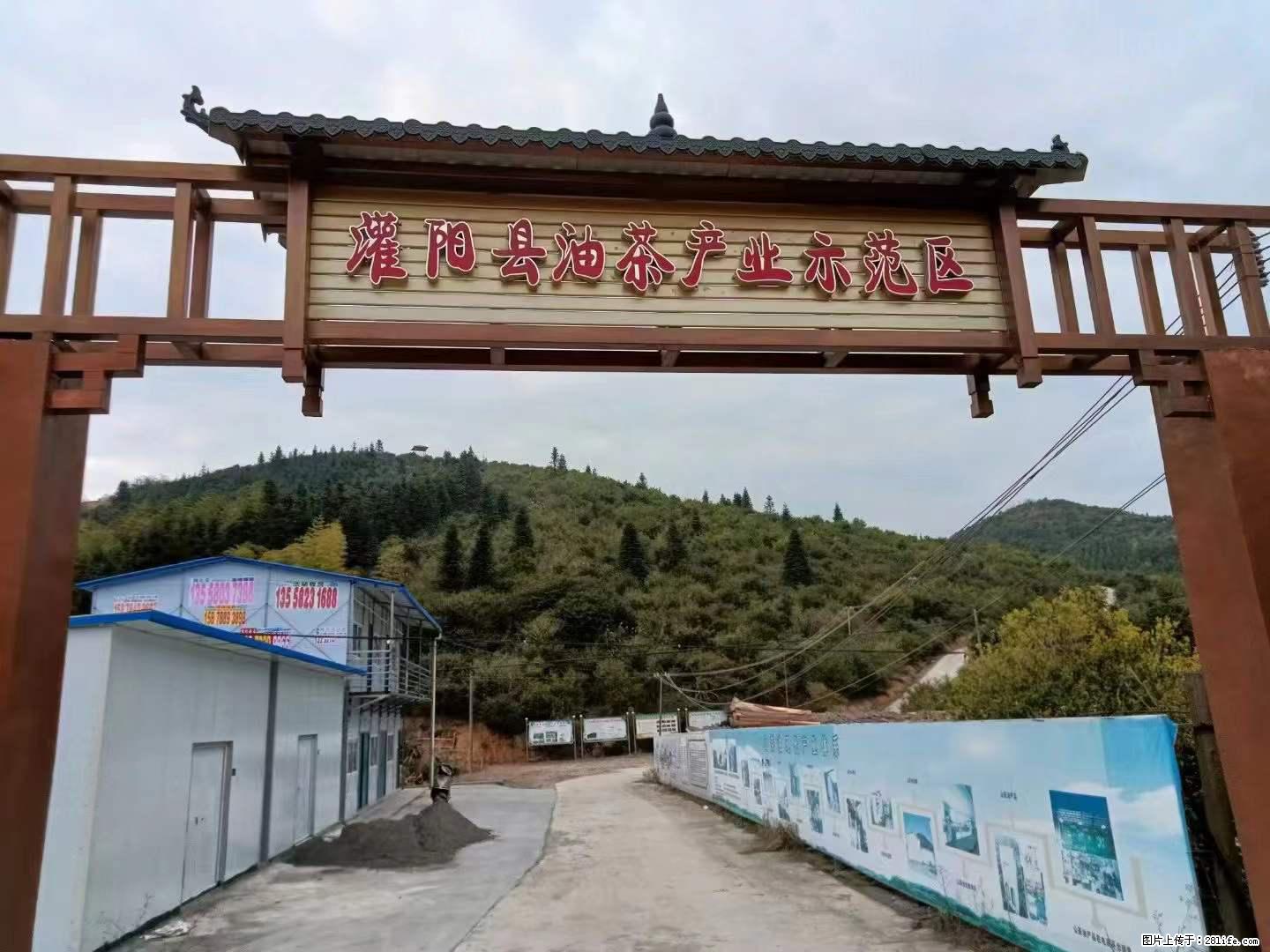 【灌阳县油茶产业示范区】一个有着充实的精神生活的人，对待身外之物自会有一种淡泊的态度 - 美食天地 - 乐山生活社区 - 乐山28生活网 ls.28life.net
