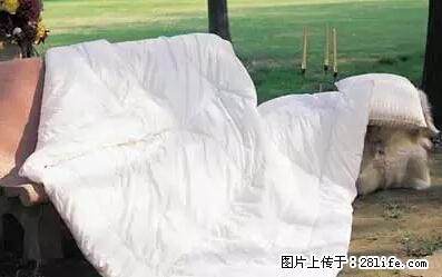 被子有异味？只要这样做，比晒太阳还强100倍！ - 家居生活 - 乐山生活社区 - 乐山28生活网 ls.28life.net