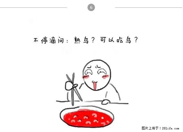 千万不要和这9种哈卵一起吃火锅！ - 美食天地 - 乐山生活社区 - 乐山28生活网 ls.28life.net