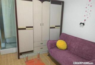 牛儿桥附近+中装一室+可月付+交通便利+拎包入住 - 乐山28生活网 ls.28life.net