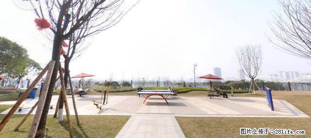 翡翠国际旁1100租价，精装观江房，品质小区 - 房屋出租 - 房屋租售 - 乐山分类信息 - 乐山28生活网 ls.28life.net