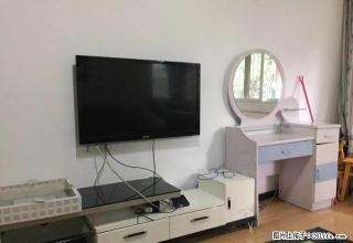 亲833租张公桥多层小区房精装套一家电家具全齐请看图哦 - 乐山28生活网 ls.28life.net