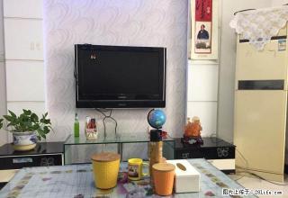 亲1250租柏杨路小学旁电梯小区精装套三家电家具全齐请看图哦 - 乐山28生活网 ls.28life.net