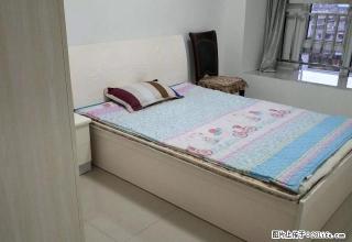 牛洱桥竹公溪竹溪水岸精装新3室+全套家具家电 拎包入住 - 乐山28生活网 ls.28life.net