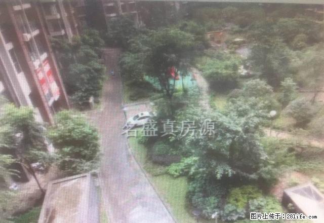 西城国际精装两室全新家具家电拎包入住价格可少 - 房屋出租 - 房屋租售 - 乐山分类信息 - 乐山28生活网 ls.28life.net