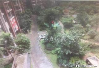 西城国际精装两室全新家具家电拎包入住价格可少 - 乐山28生活网 ls.28life.net