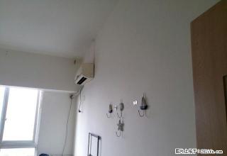 新广场中医医院+都市阳光精装电梯房+拎包入住 - 乐山28生活网 ls.28life.net