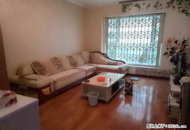 凤凰小区精装两室+交通方便+拎包入住 - 房屋出租 - 房屋租售 - 乐山分类信息 - 乐山28生活网 ls.28life.net