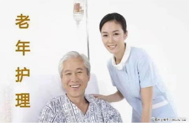 上海国企养老院，星级酒店环境，招聘养老护工 - 职场交流 - 乐山生活社区 - 乐山28生活网 ls.28life.net