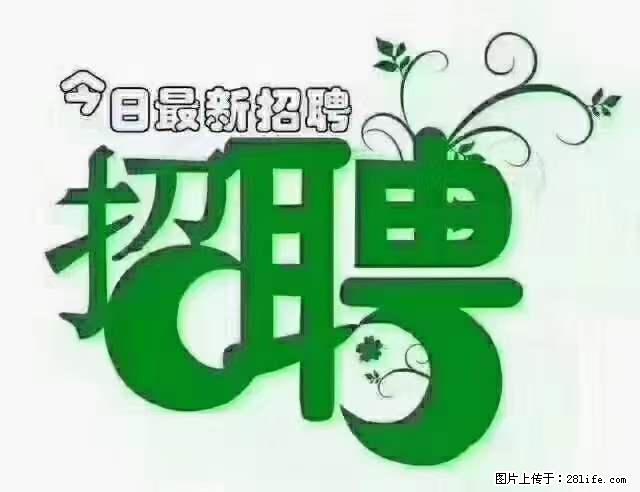 【招聘摄像师】待遇：试用期6000元/月，转正7000元/月+五险一金+餐补+节日福利+奖金 - 职场交流 - 乐山生活社区 - 乐山28生活网 ls.28life.net