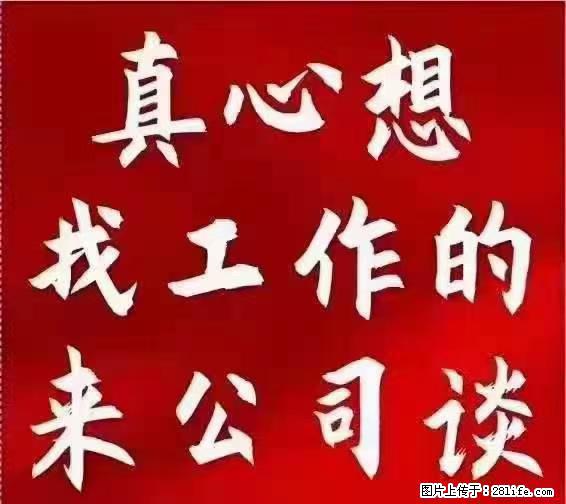 【上海】国企，医院招两名男保安，55岁以下，身高1.7米以上，无犯罪记录不良嗜好 - 职场交流 - 乐山生活社区 - 乐山28生活网 ls.28life.net