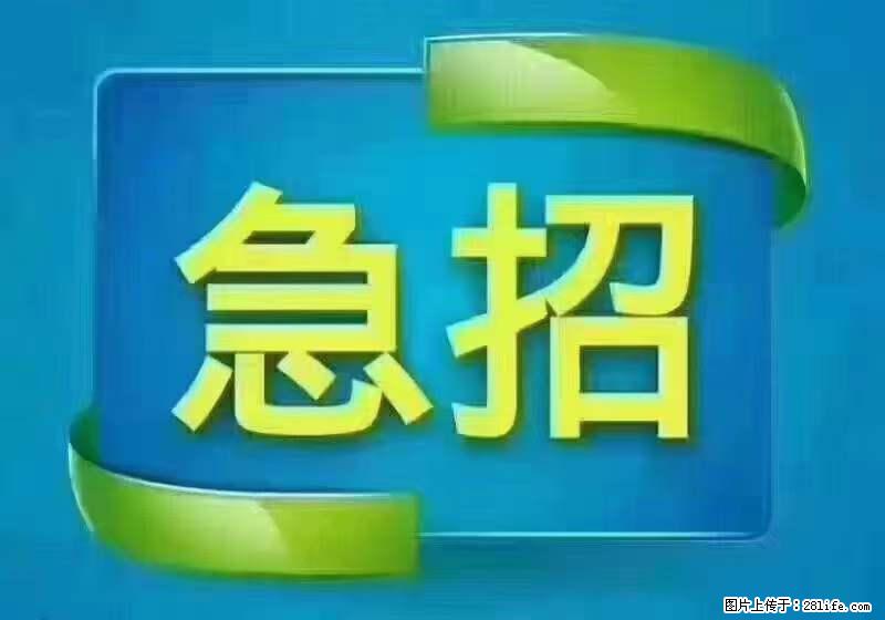 招财务，有会计证的，熟手会计1.1万底薪，上海五险一金，包住，包工作餐，做六休一 - 职场交流 - 乐山生活社区 - 乐山28生活网 ls.28life.net