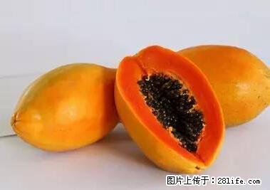 晕车、脚气、牙齿变黄、皮肤粗糙？学会这些三分钟搞定！ - 乐山生活资讯 - 乐山28生活网 ls.28life.net