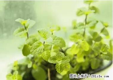 晕车、脚气、牙齿变黄、皮肤粗糙？学会这些三分钟搞定！ - 乐山生活资讯 - 乐山28生活网 ls.28life.net