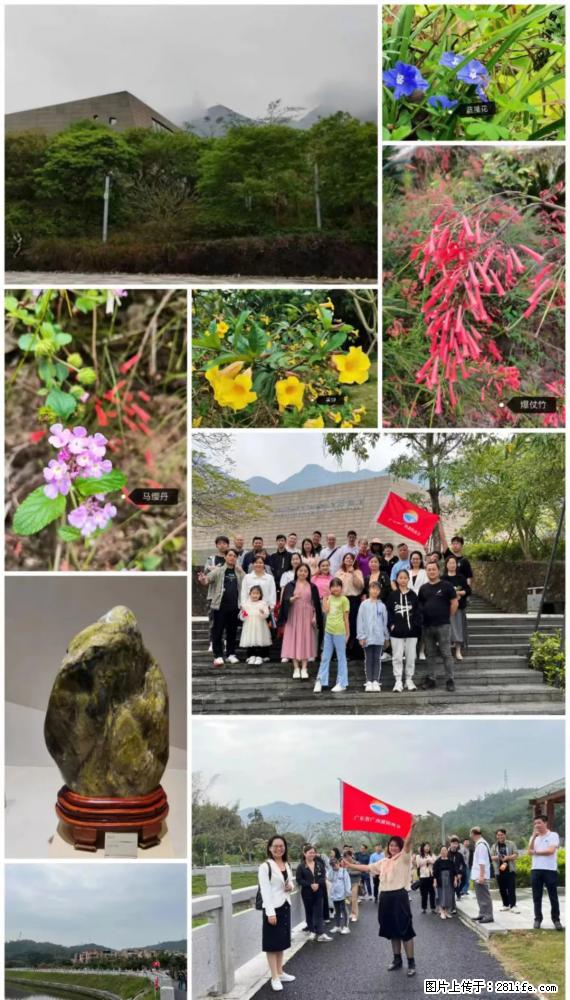“粤灌文化 美好生活”油茶文化主题活动在广东深圳成功举办 - 乐山生活资讯 - 乐山28生活网 ls.28life.net