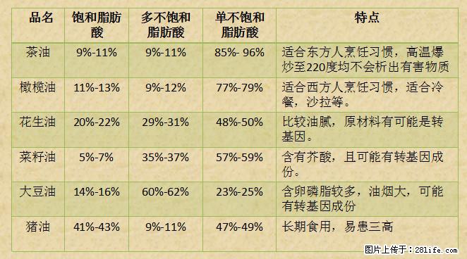 揭秘茶油的5大核心营养成分！被称为人体健康的“守护盾”！ - 乐山生活资讯 - 乐山28生活网 ls.28life.net