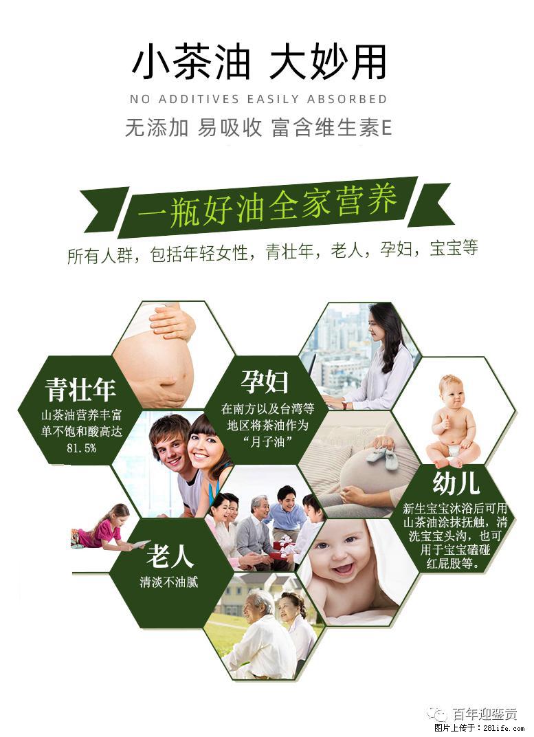世界没有真相，只有认知，最好的食用油是中国的山茶油！ - 乐山生活资讯 - 乐山28生活网 ls.28life.net