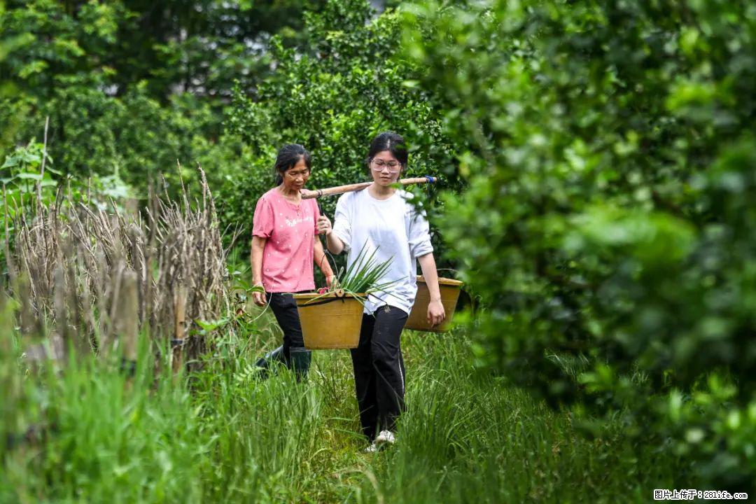 全网追的“扁担女孩”，找了一份暑假工，时薪12元 - 乐山生活资讯 - 乐山28生活网 ls.28life.net