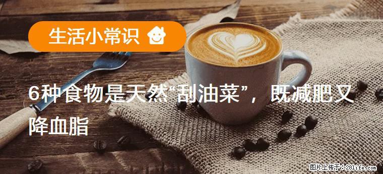 【生活小常识】6种食物是天然“刮油菜”，既减肥又降血脂 - 乐山生活资讯 - 乐山28生活网 ls.28life.net