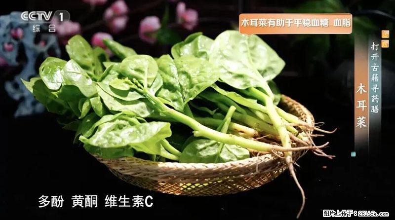 比牛奶补钙还厉害！凉血解毒、稳血糖...这菜冬天必吃，很多人却当草 - 乐山生活资讯 - 乐山28生活网 ls.28life.net