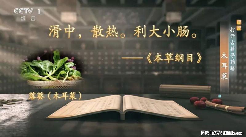 比牛奶补钙还厉害！凉血解毒、稳血糖...这菜冬天必吃，很多人却当草 - 乐山生活资讯 - 乐山28生活网 ls.28life.net